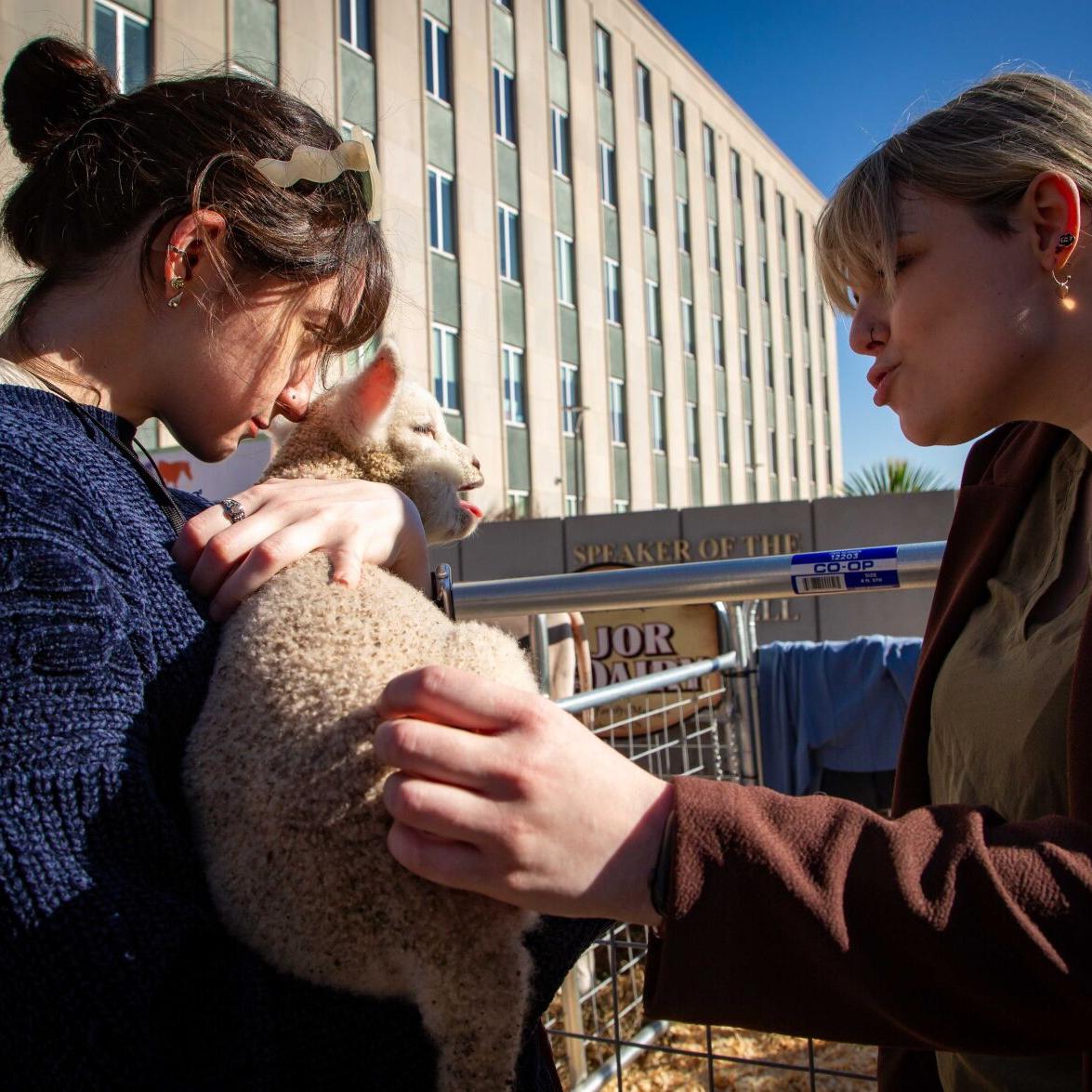 Slideshow: Ag Day on the Hill 2025